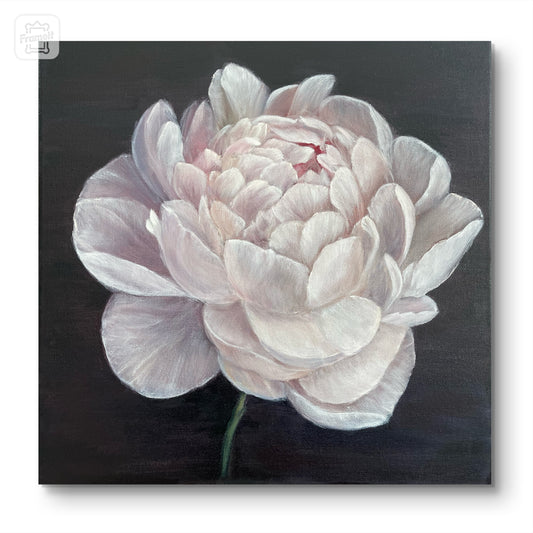 1. Whispering Peony 40x40cm. NEW